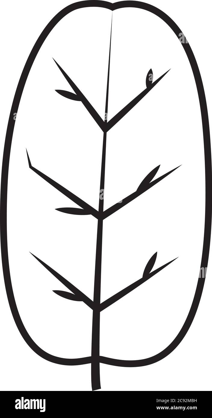 tropical leaf line style icon design of Natural floral nature and plant ...