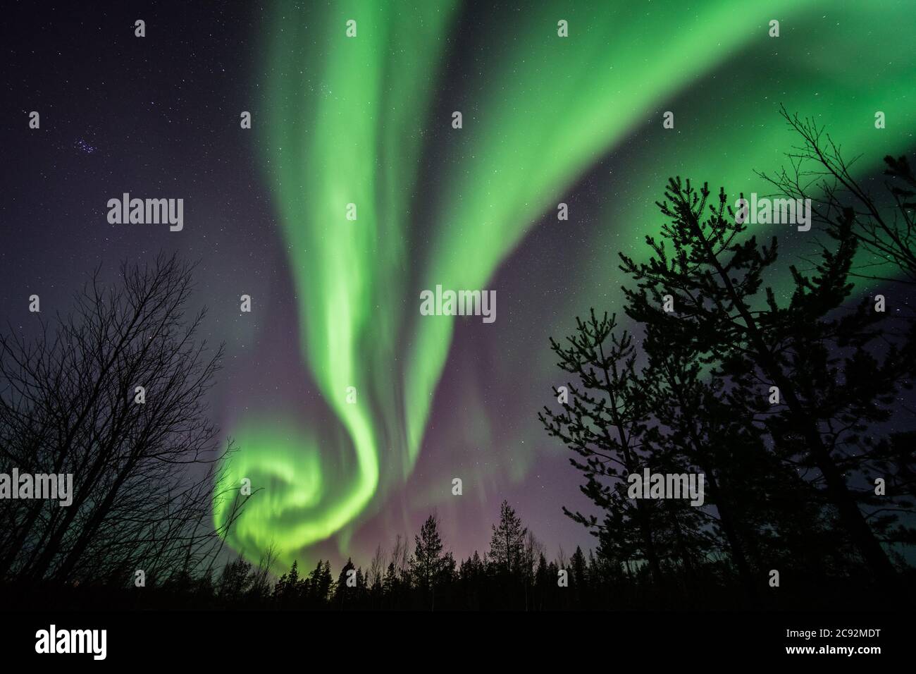 northern lights swirl in lapland finland at night Stock Photo