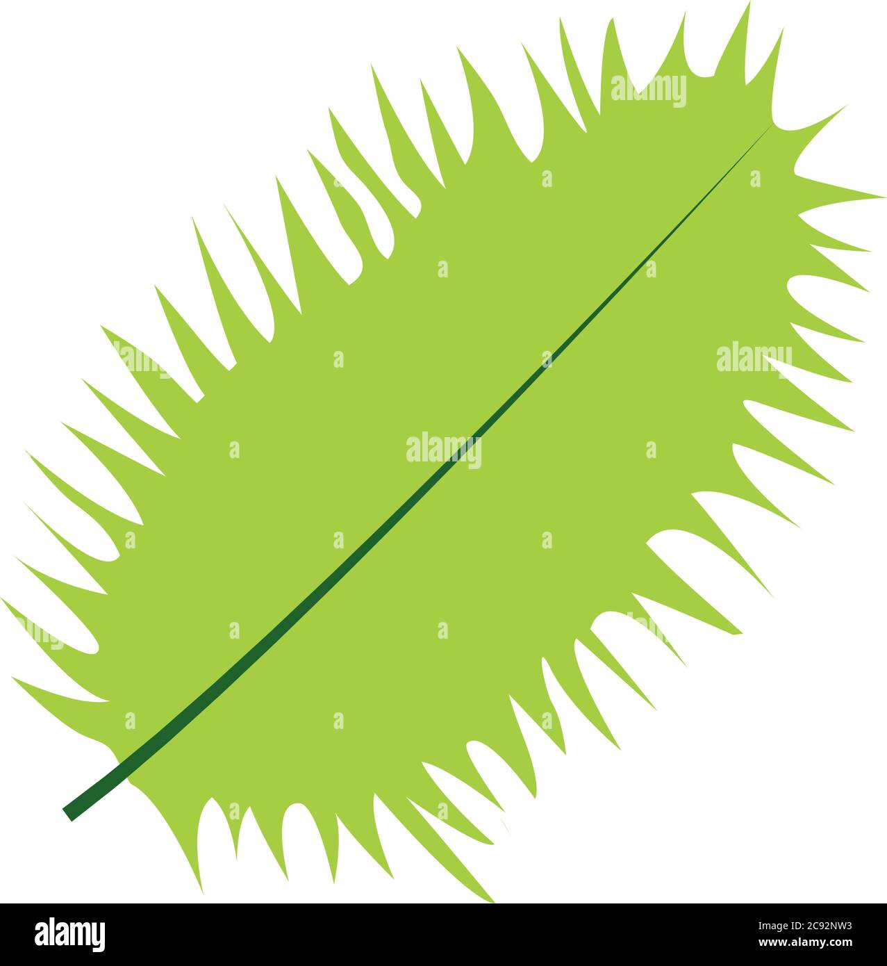 tropical leaf flat style icon design of Natural floral nature and plant ...