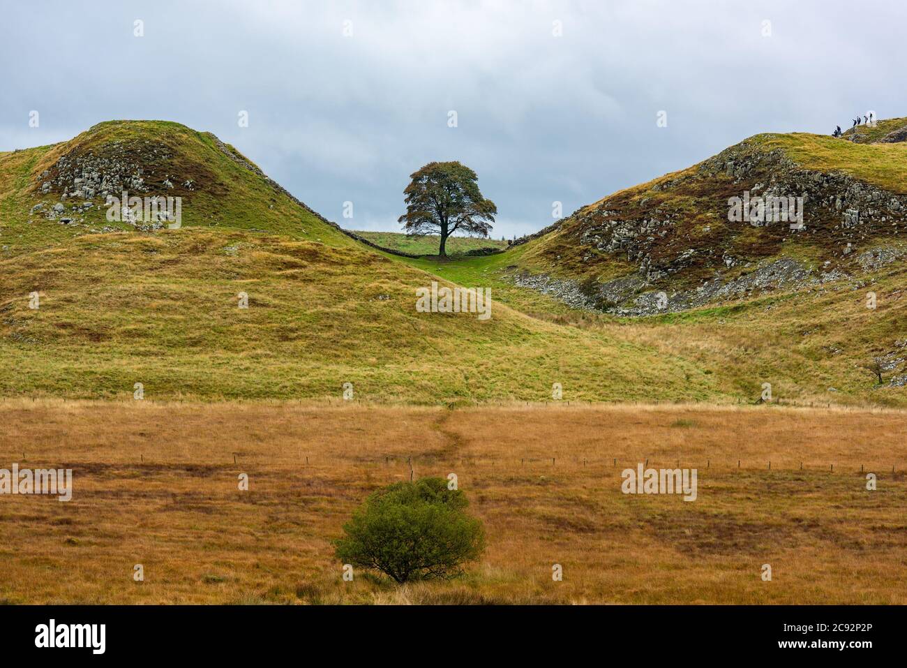 Sycamore Gap on Hadrian's Wall, Once Brewed, Hexham, Northumberland. Stock Photo