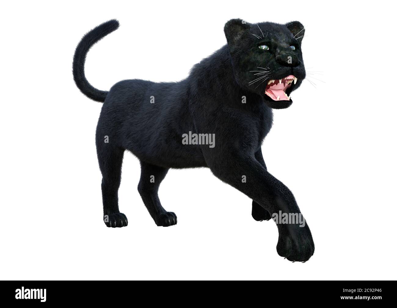 3D rendering of a big cat black panther isolated on white background Stock  Photo - Alamy