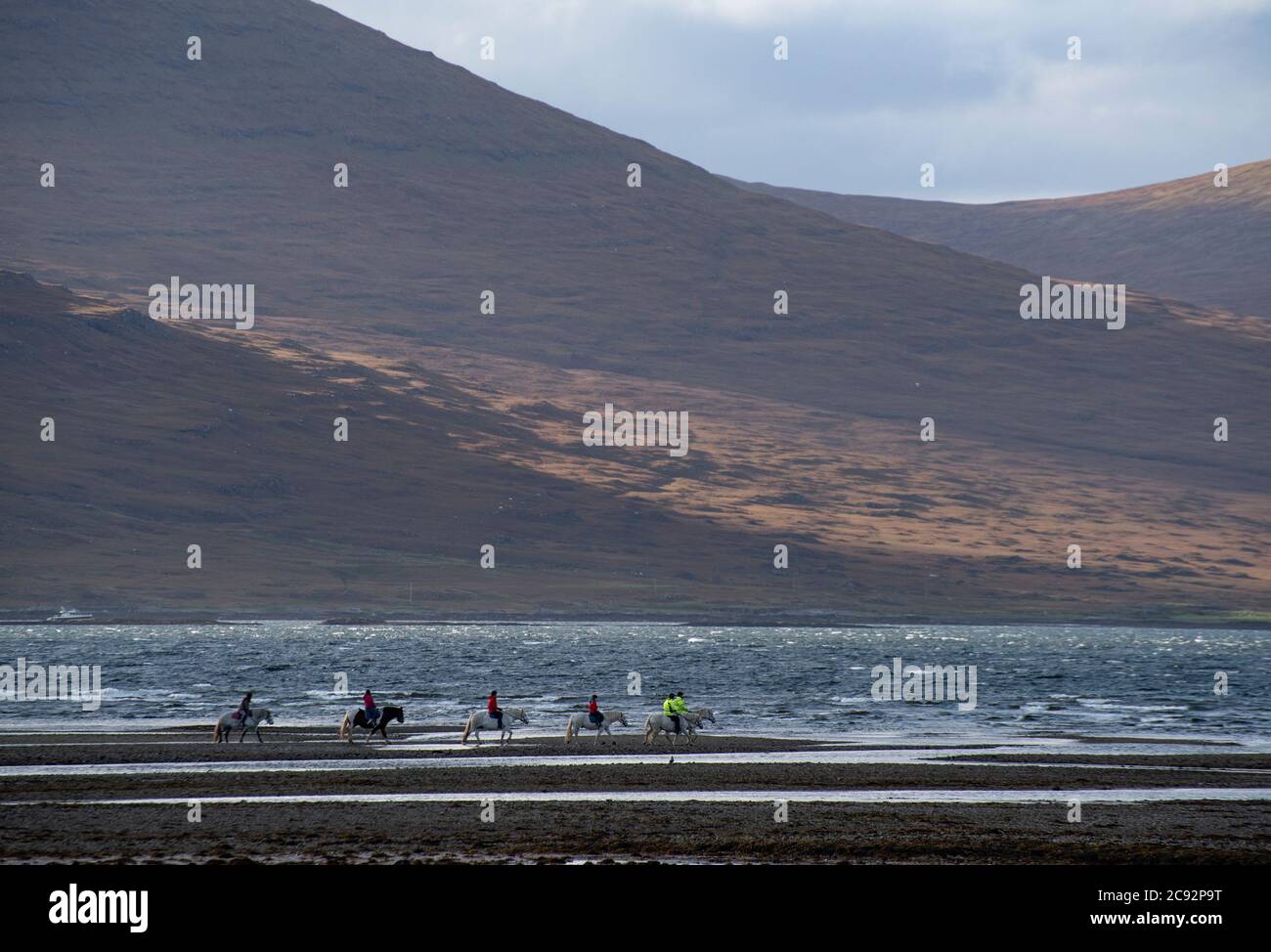 Pony trekking, Loch Na Keal, Killiechronan, the Isle of Mull, Argyll and Bute, Scotland, United Kingdom. Stock Photo