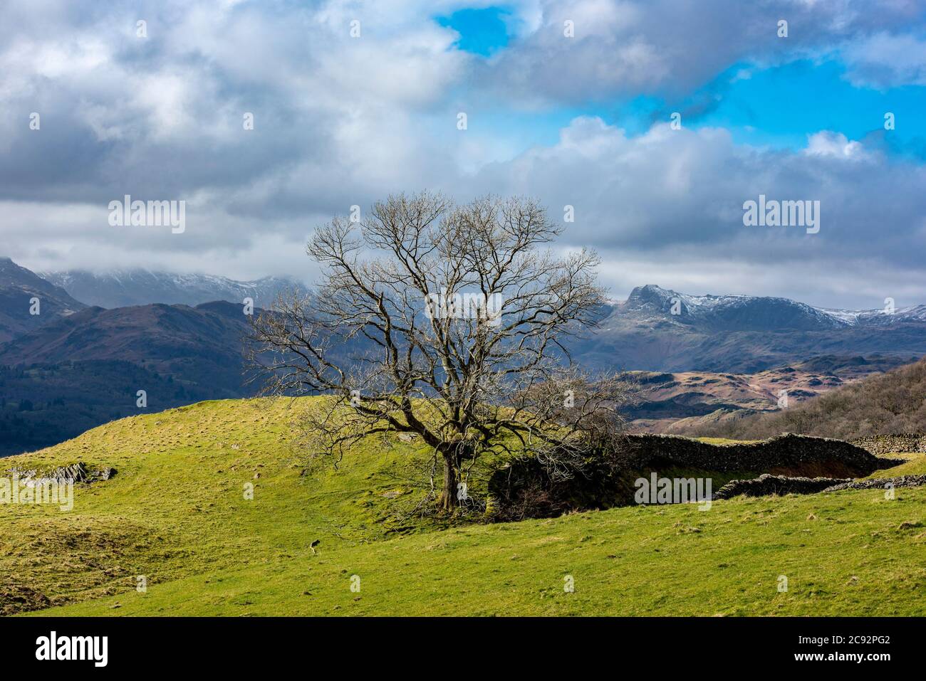 Winter view of the Langdale Fells from Town End, Windermere, Cumbria, UK. Stock Photo