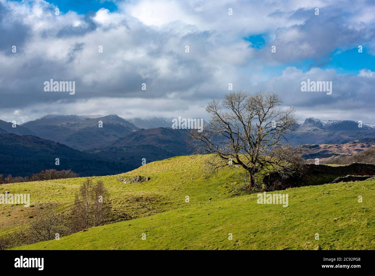 Winter view of the Langdale Fells from Town End, Windermere, Cumbria, UK. Stock Photo
