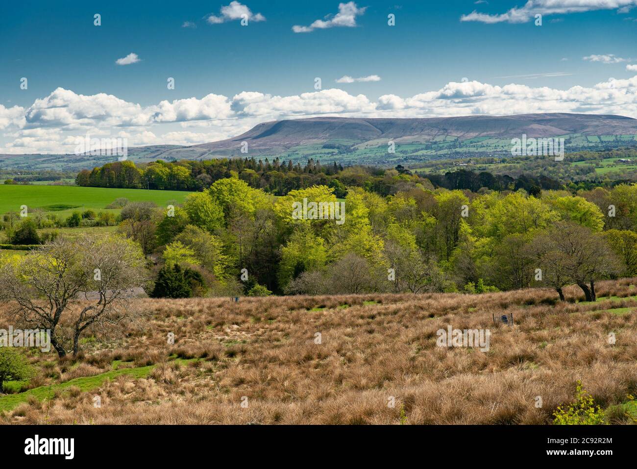 View towards Pendle Hill, Clitheroe, Lancashire, Lancashire, UK Stock Photo