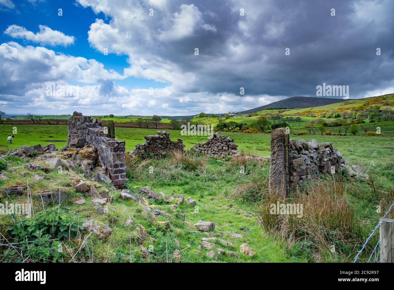 High Barn, an old derelict farm building and landscape of upland farmland and fells, Chipping, Preston, Lancashire. Stock Photo