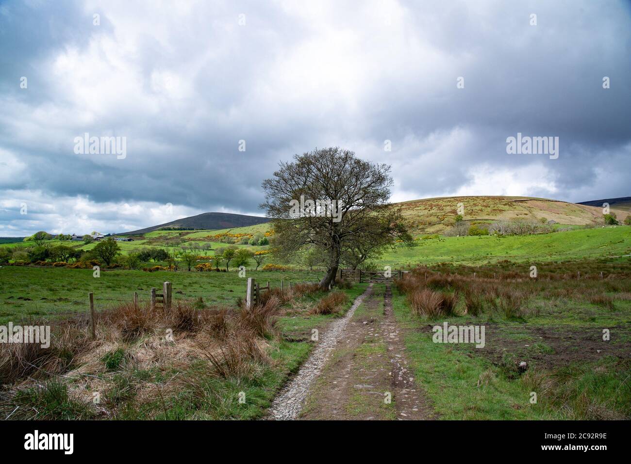 Landscape of upland farmland and fells, Chipping, Preston, Lancashire. Stock Photo