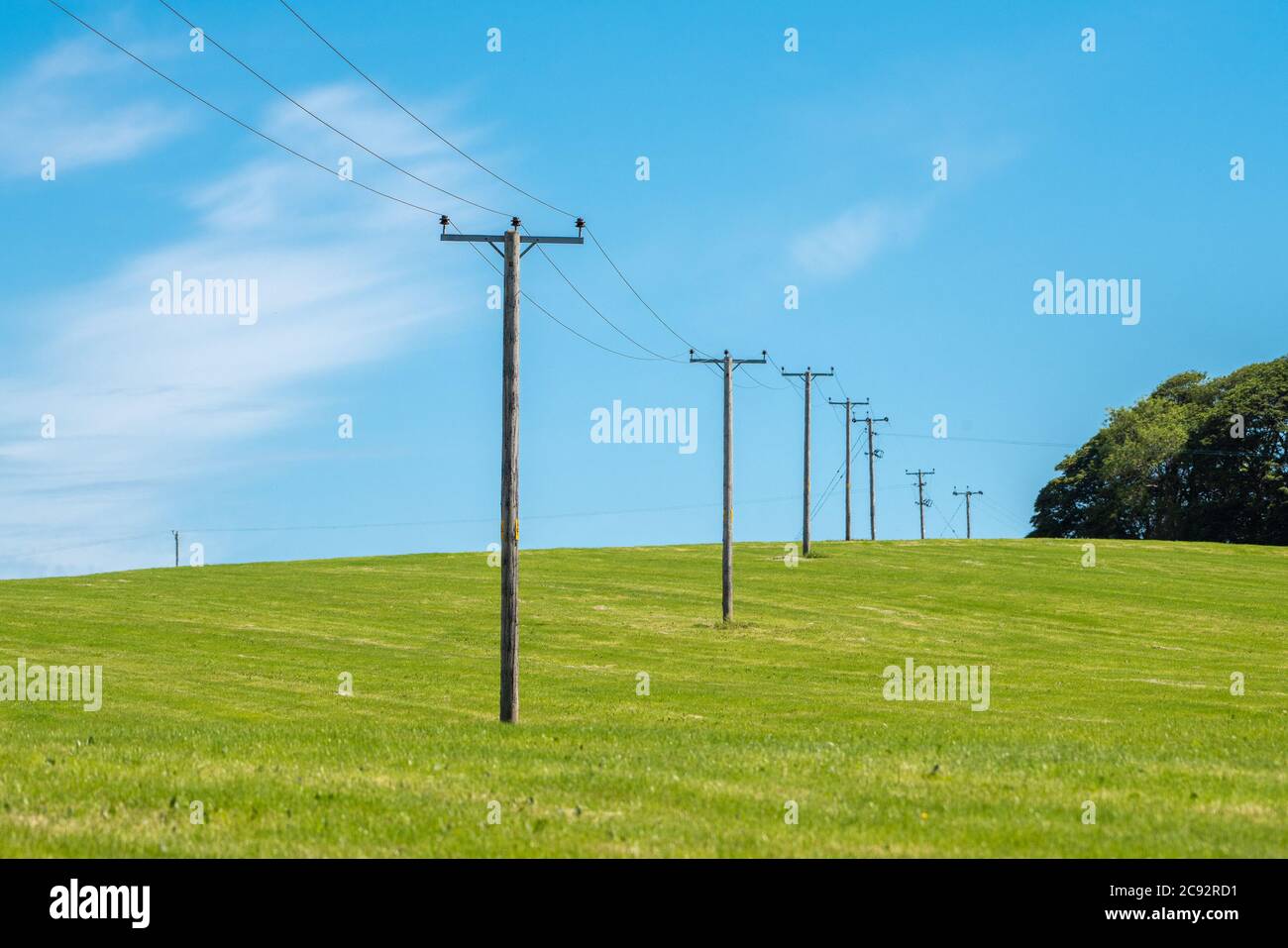 Electricity poles in a grass field, Chipping, Preston, Lancashire, UK Stock Photo