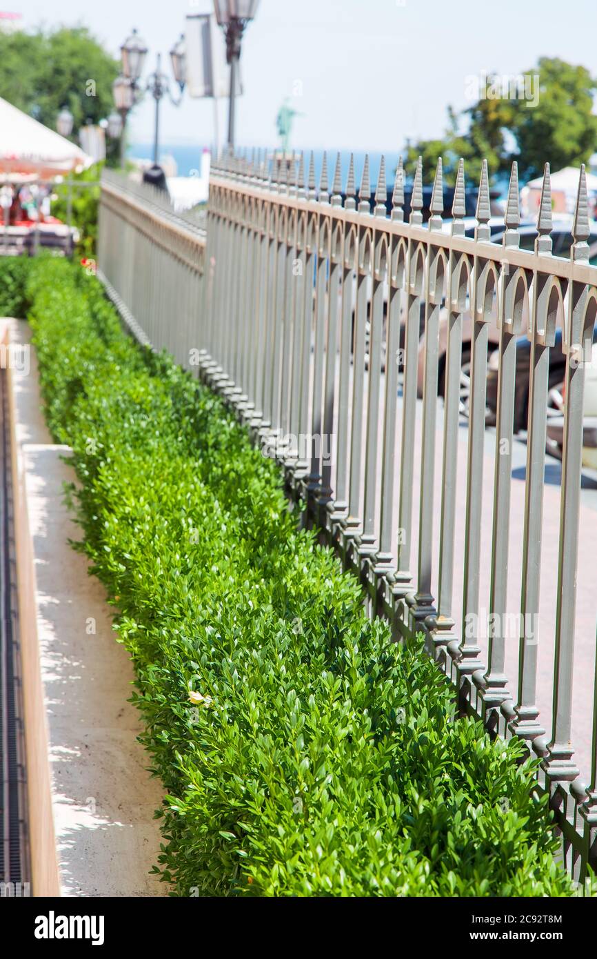 Green Wrought Iron Fence High Resolution Stock Photography and Images ...