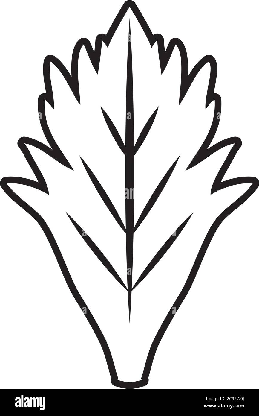tropical leaf line style icon design of Natural floral nature and plant ...