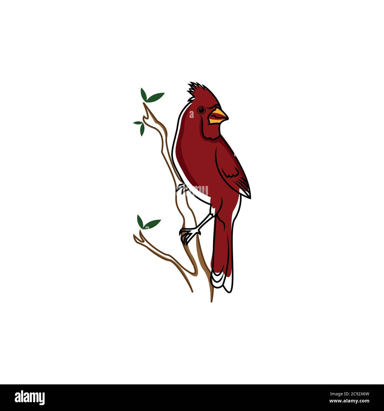 Cardinal Bird Vector Logo Template Stock Vector