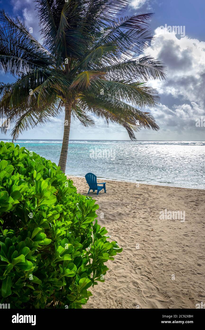 Lone beach chair, Grand Cayman Island Stock Photo Alamy