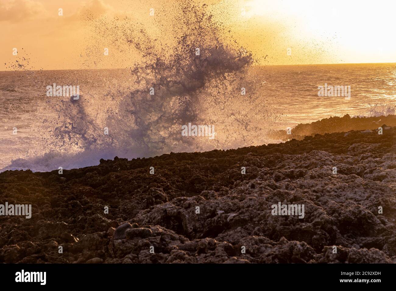 Large wave slashing against the rocky shore, Grand Cayman Island Stock Photo