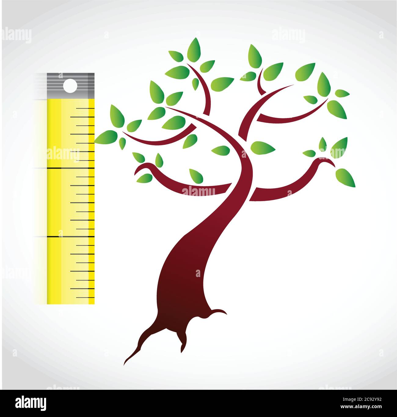 Tree measure illustration design over a white background Stock Vector ...