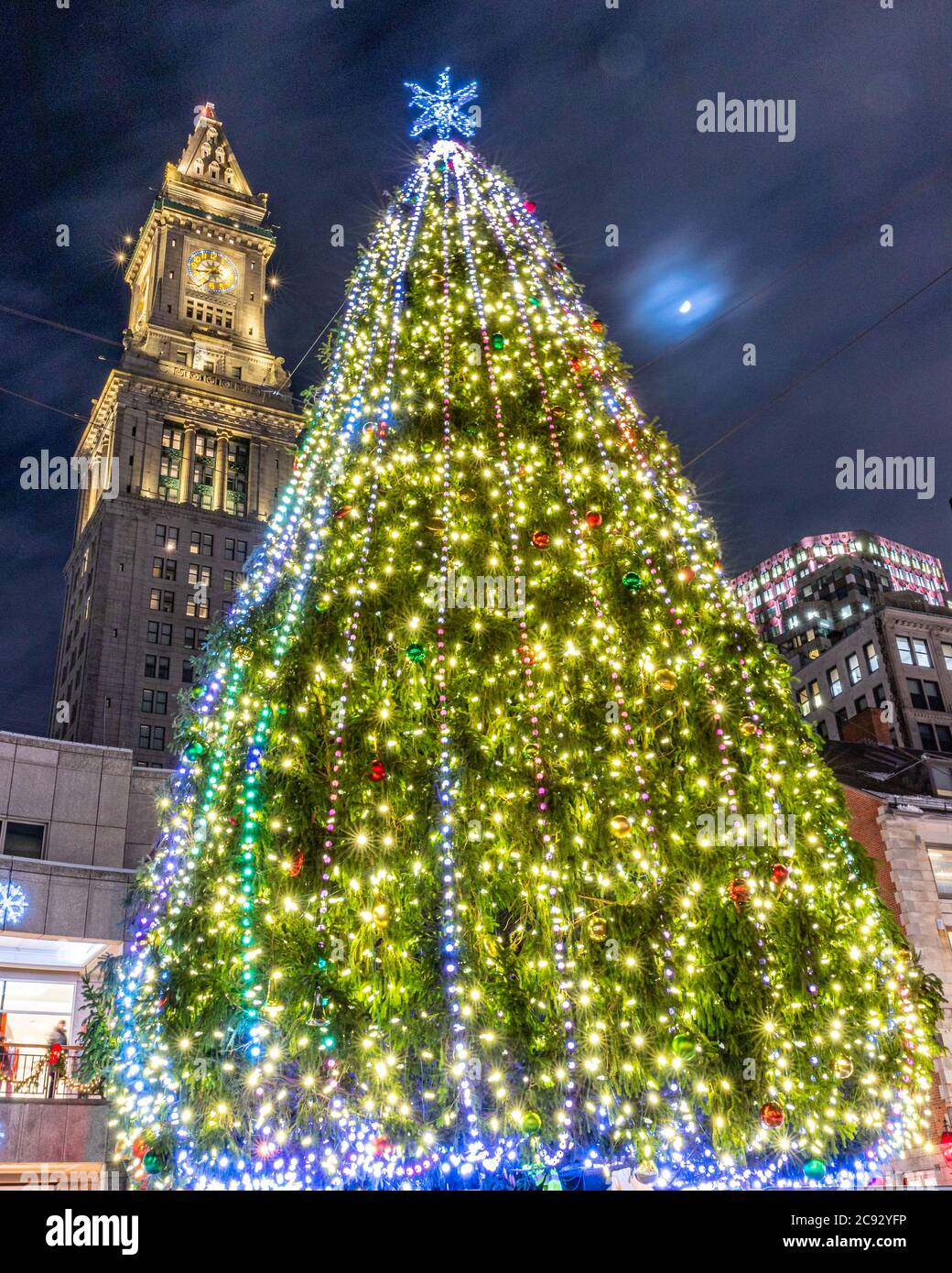 City Place Christmas Tree Lighting 2024 Jeana Lorelei