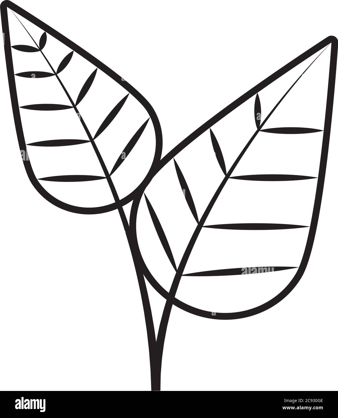 tropical leaf line style icon design of Natural floral nature and plant ...