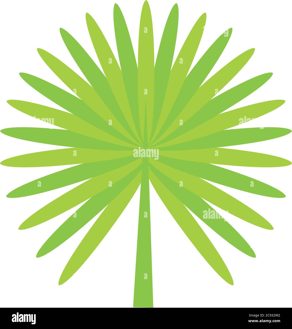 tropical palm leaf flat style icon design of Natural floral nature and ...