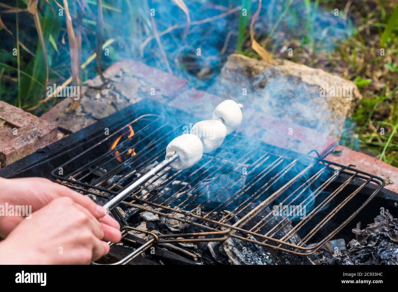 whote marshmallows on skewer over fire outdoors Stock Photo