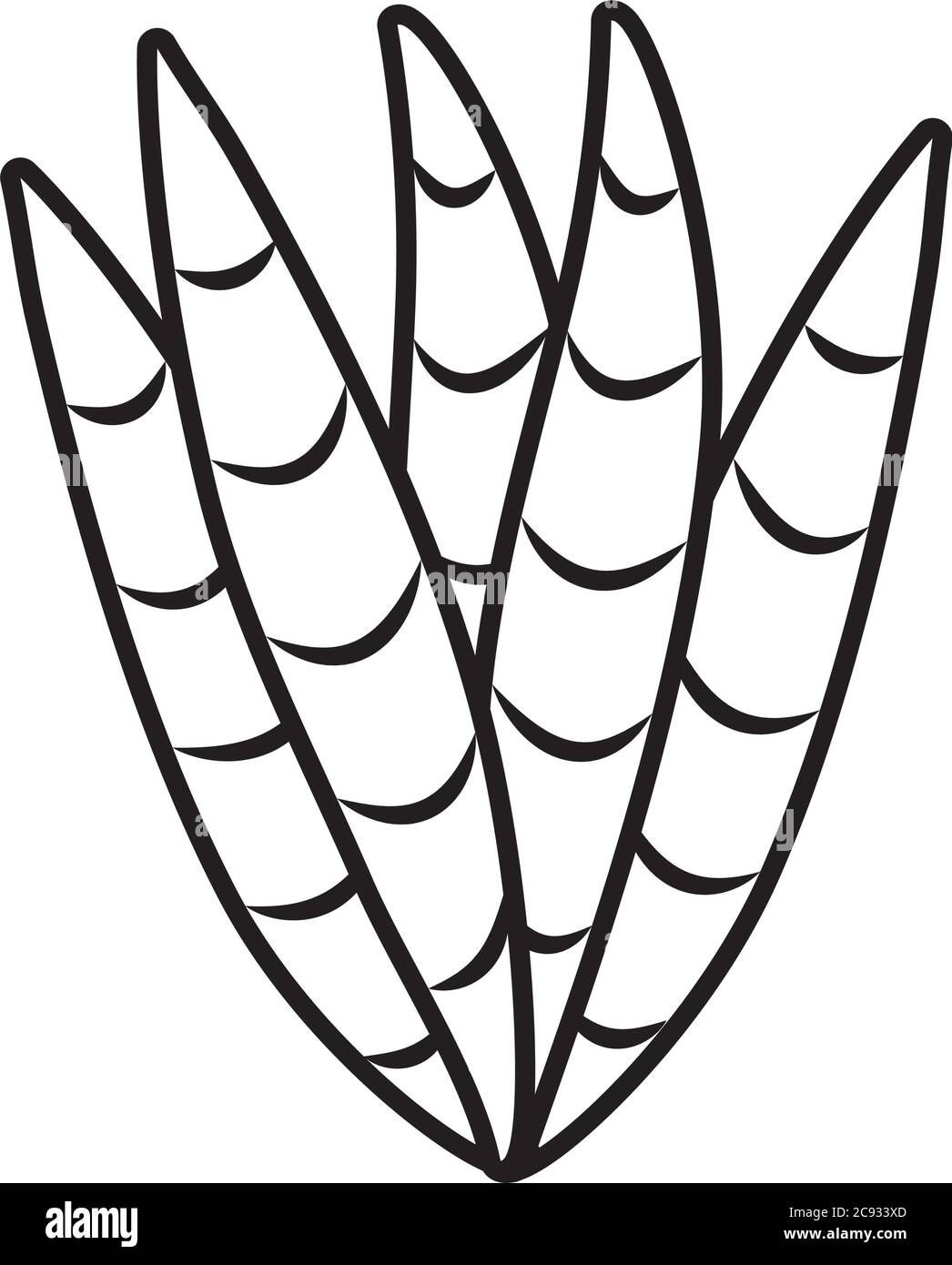 tropical aloe vera leaves line style icon design of Natural floral ...