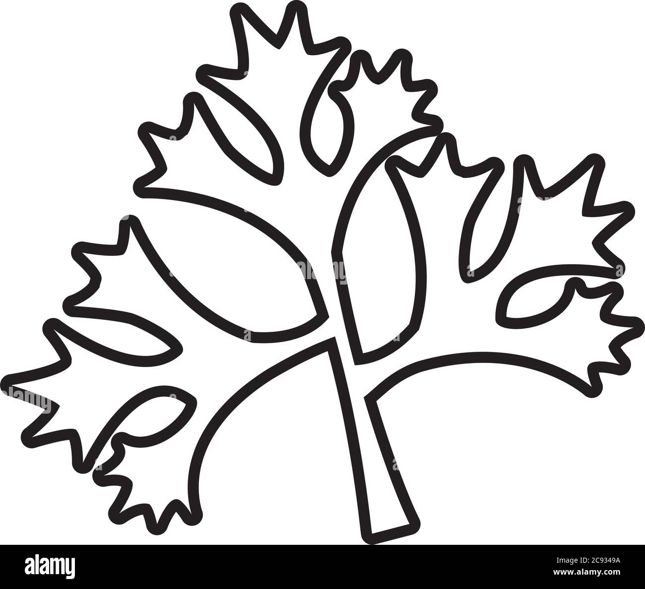 tropical leaf line style icon design of Natural floral nature and plant ...
