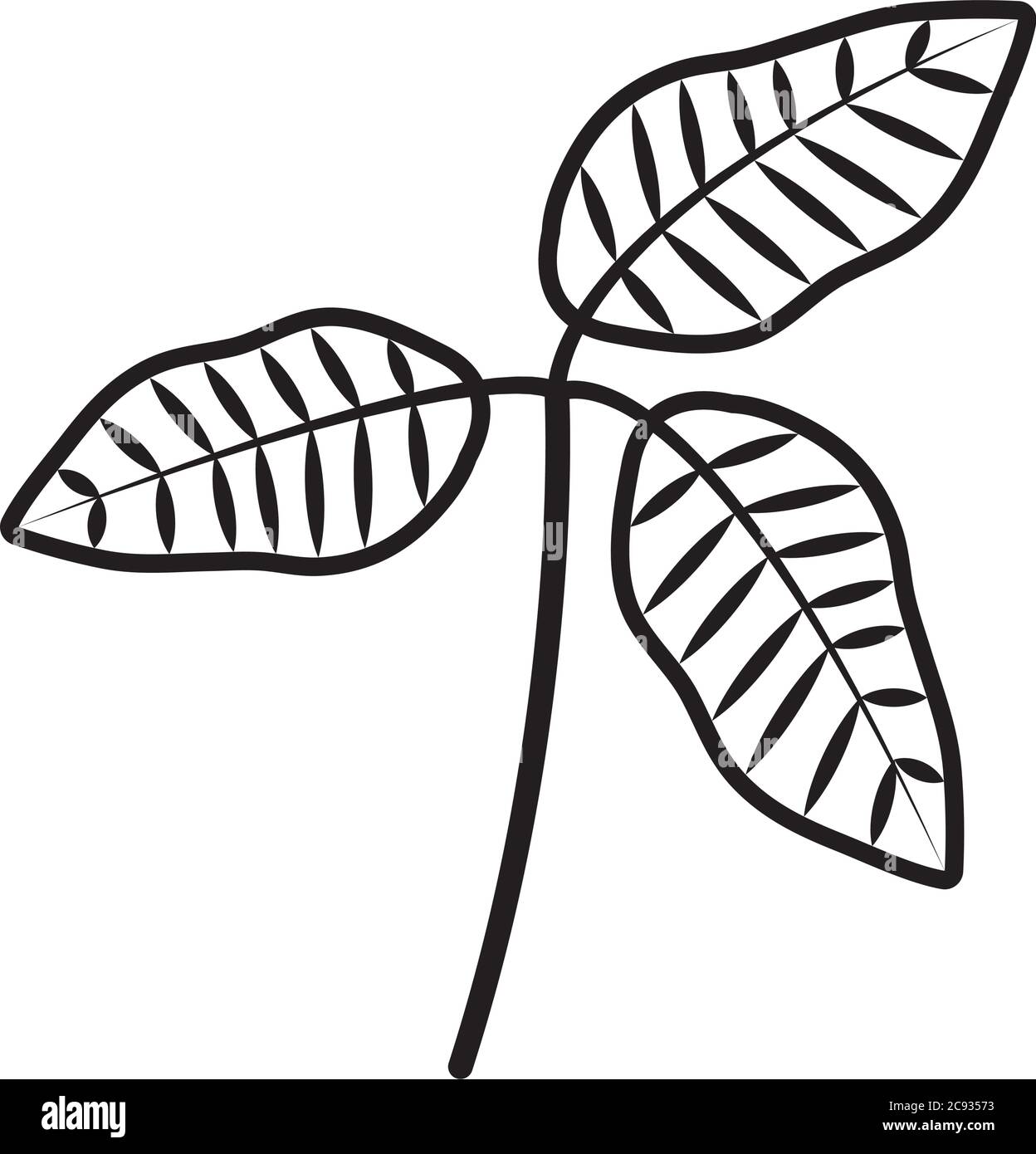 tropical leaf line style icon design of Natural floral nature and plant ...