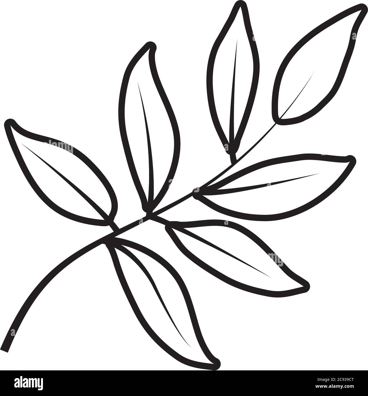 tropical leaf line style icon design of Natural floral nature and plant ...