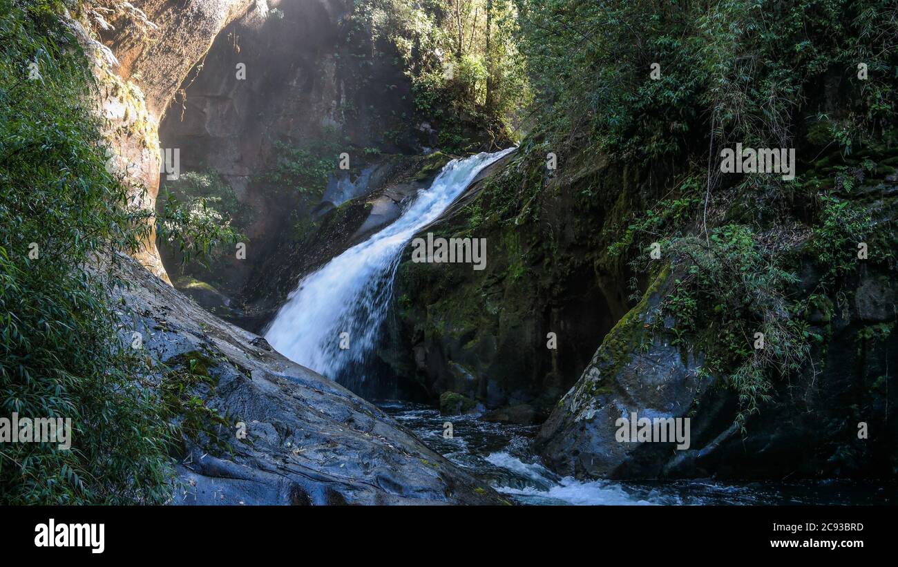 Woodland waterfall hi-res stock photography and images - Alamy