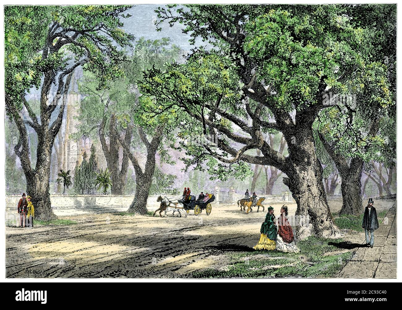 Oak-lined avenue in Oakland, California, about 1880. Hand-colored woodcut Stock Photo