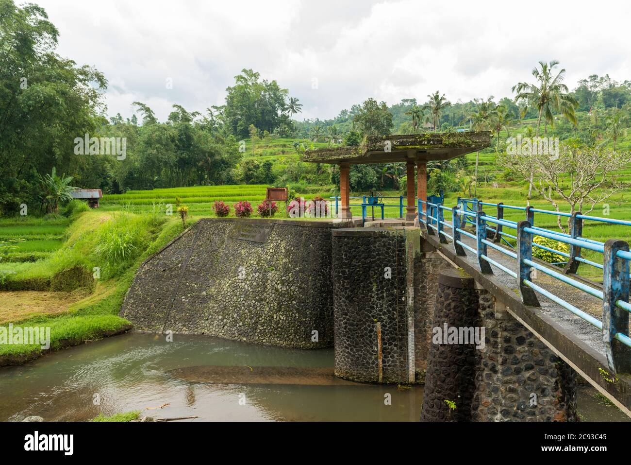 Water dam at Rice paddies Stock Photo - Alamy