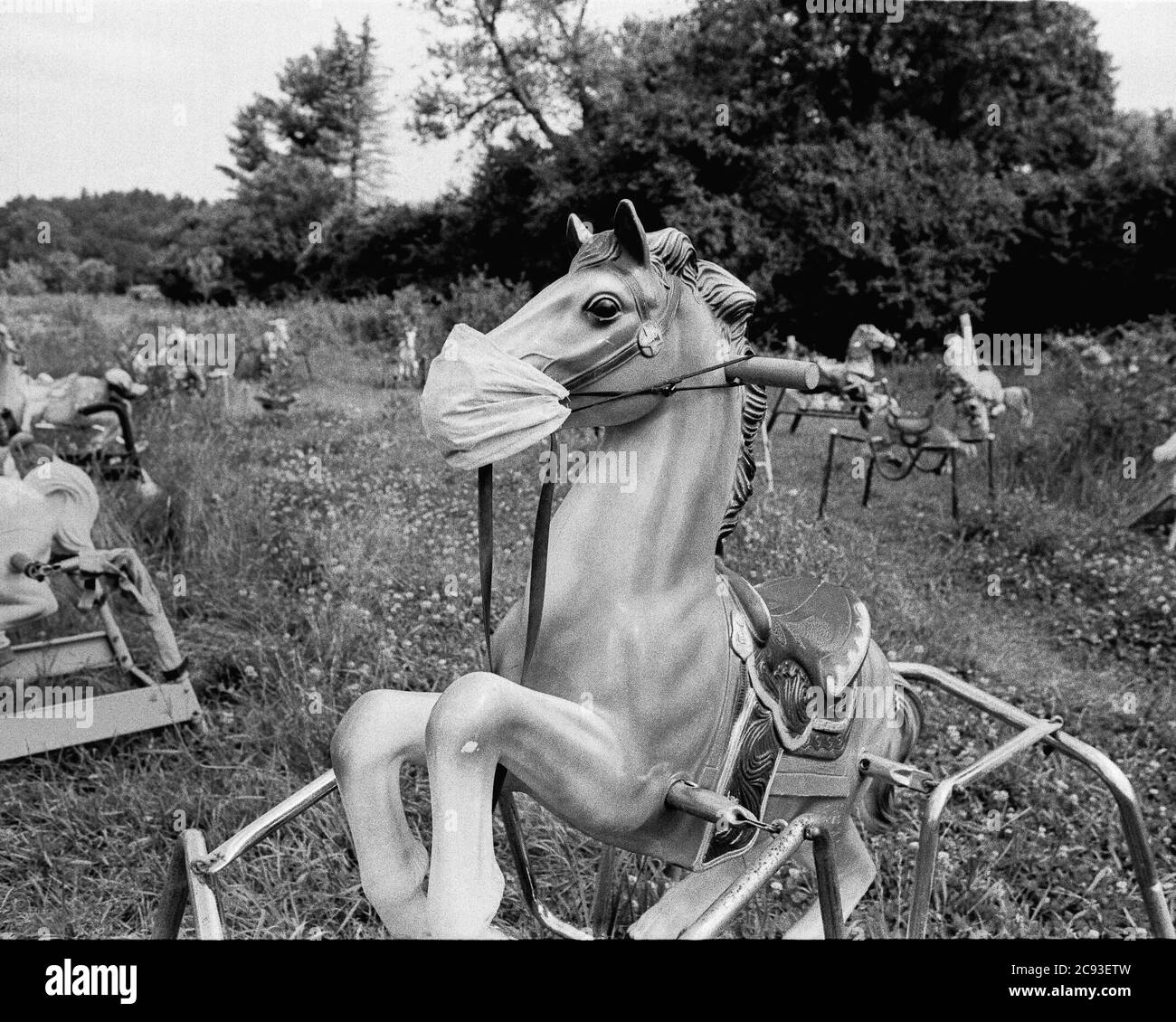 A rocking horse rears while wearing a mask and social distancing in a