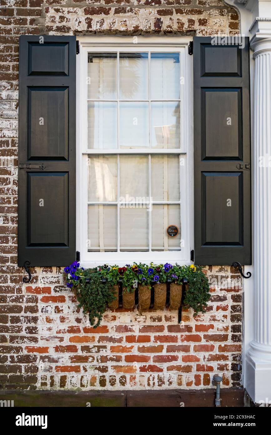 Flower window box in historic downtown Charleston, South Carolina Stock