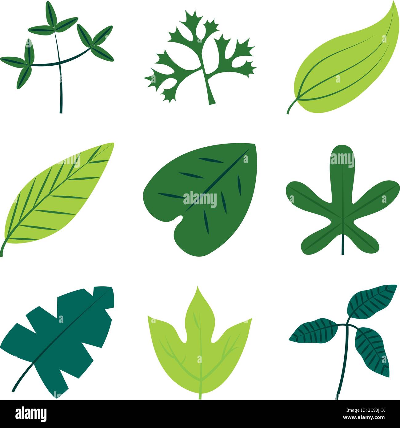 tropical leaves flat style icon set design of Natural floral nature and ...