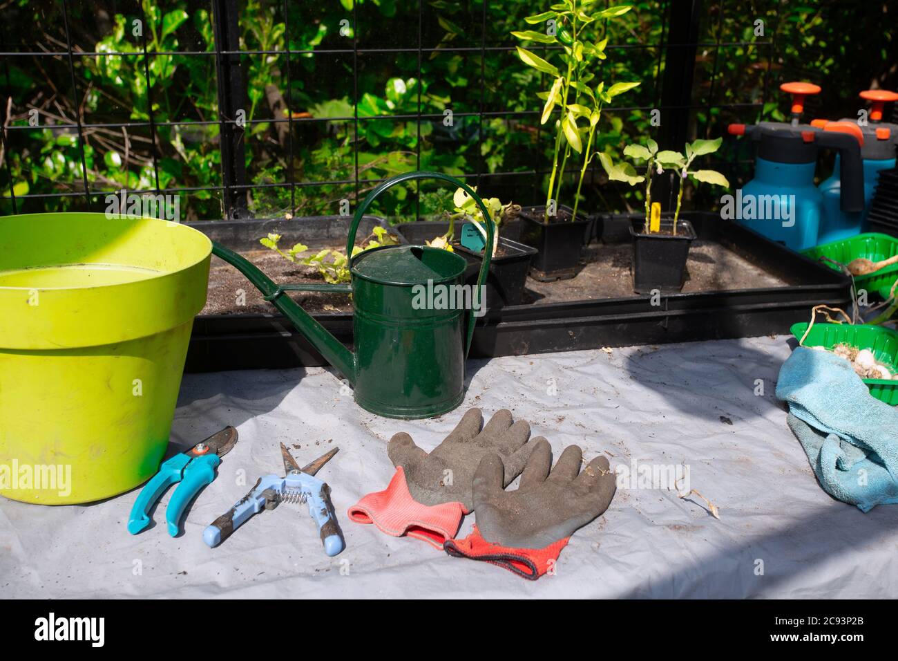 Household goods for the garden. Rubber gloves, flower pots, seedling