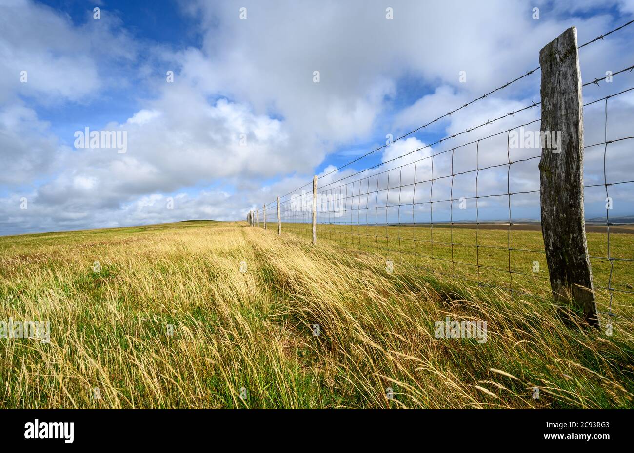 South Downs National Park, Sussex, UK near Firle Beacon. A fence and long grass in the sunshine on the route of the South Downs Way. Stock Photo