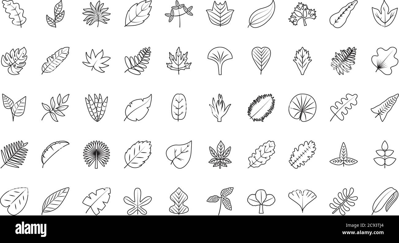 tropical leaves line style icon set design of Natural floral nature and ...