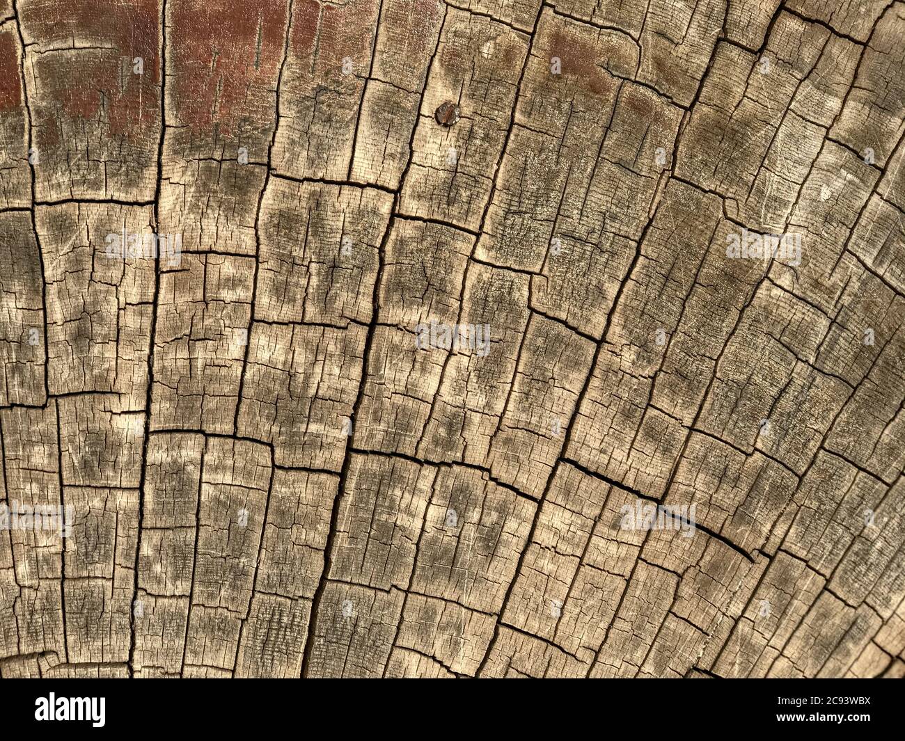 Wooden log surface filled with rhythmic cracks Stock Photo - Alamy