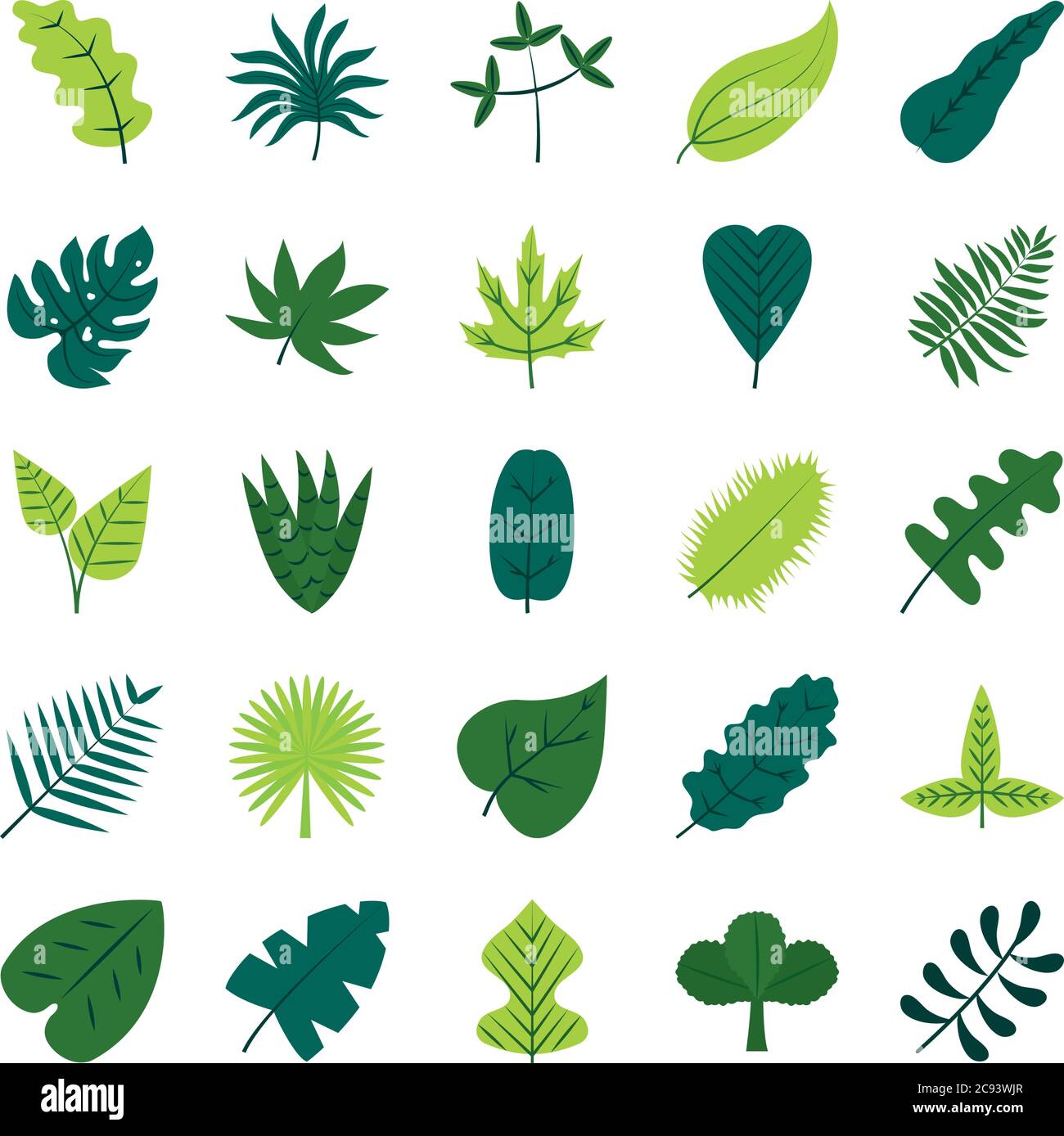 tropical leaves flat style icon set design of Natural floral nature and ...