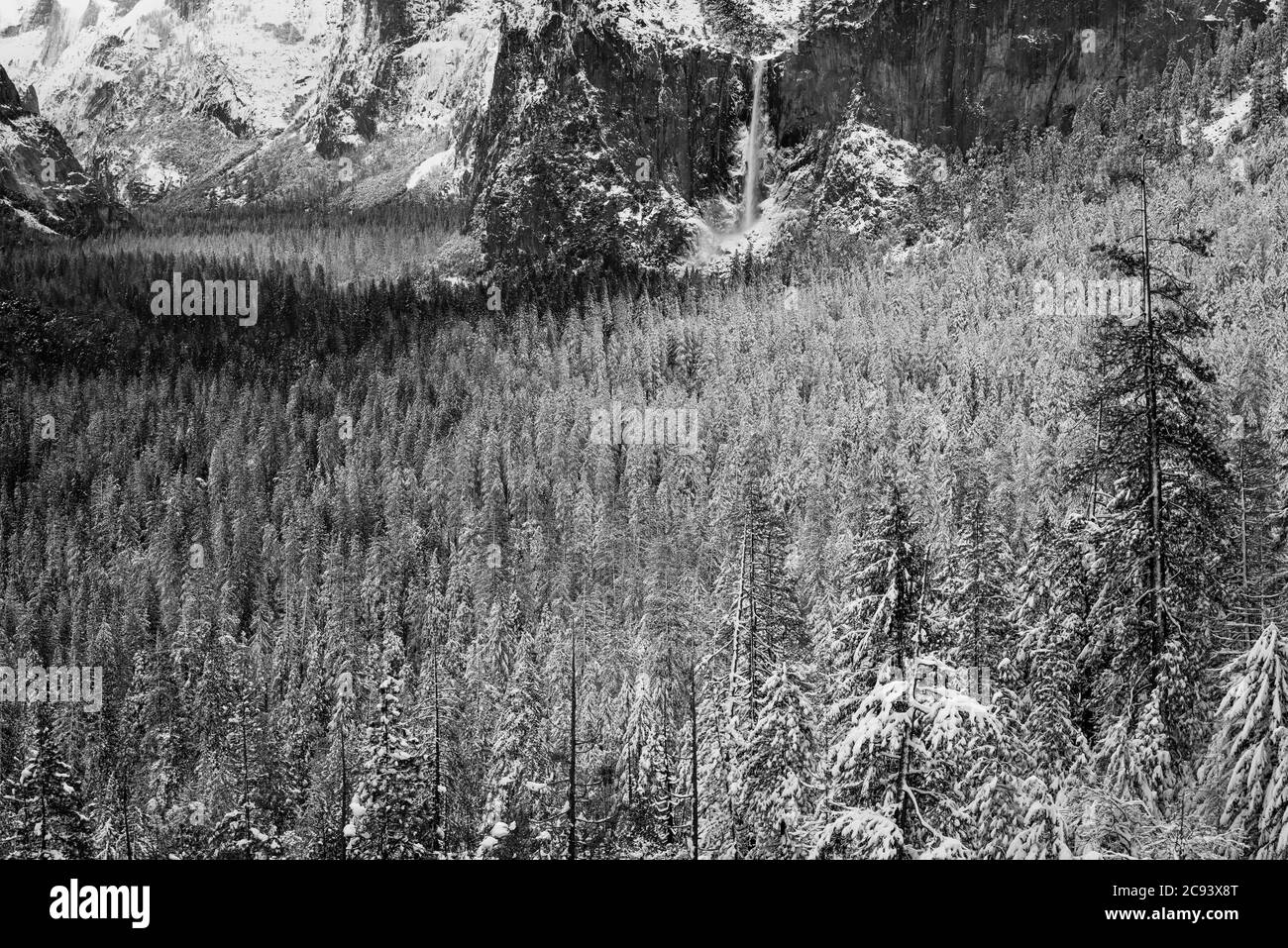 Yosemite Valley after a winter storm, Yosemite National Park, California USA Stock Photo