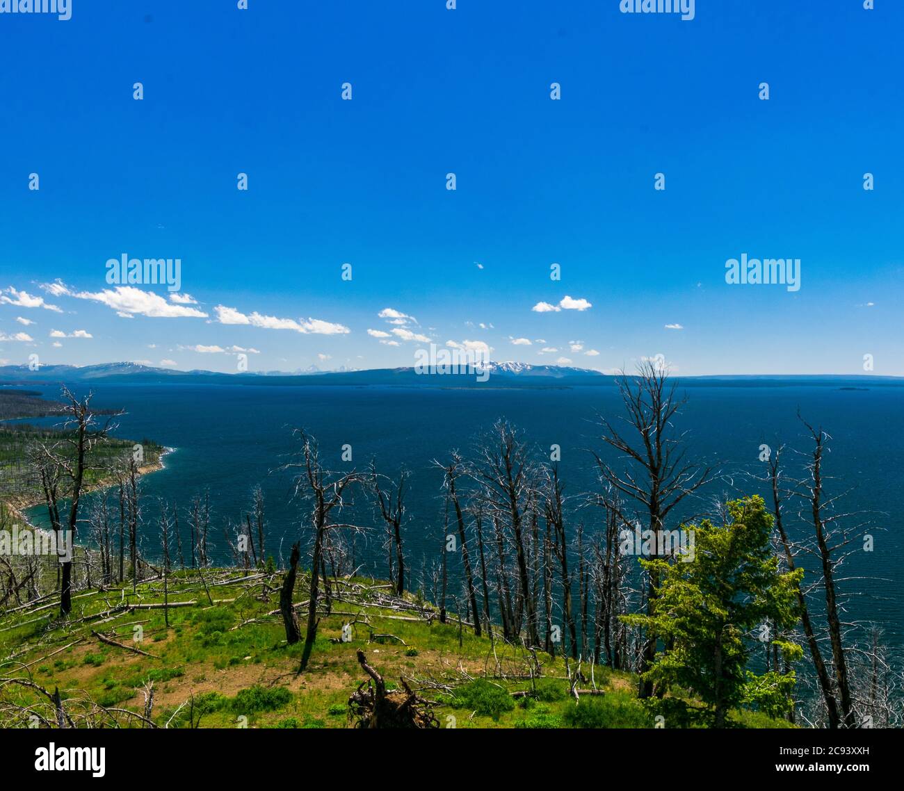 Lake Yellowstone Overlook Stock Photo