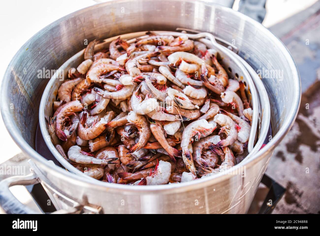 Shrimp are placed in a large cooking pot in preparation of a shrimp
