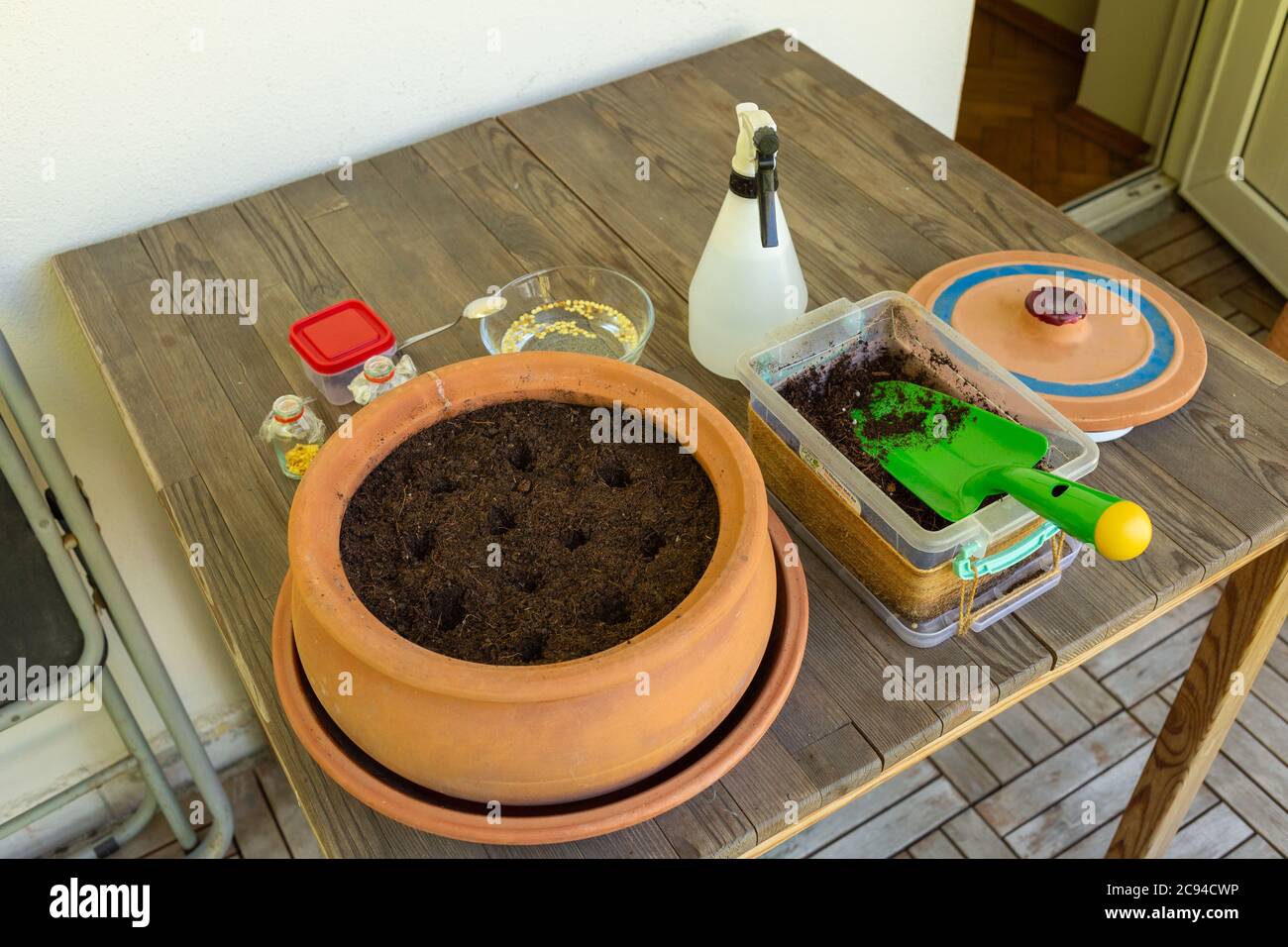 Seed germination equipment including green pepper seeds, earthen pot