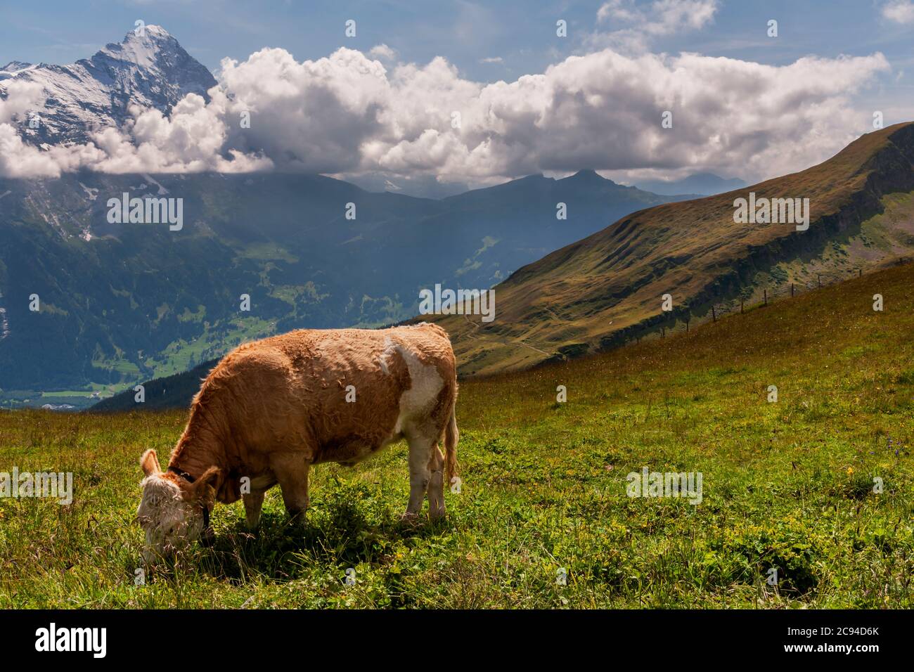 Things to see in grindelwald switzerland hires stock photography and images Alamy