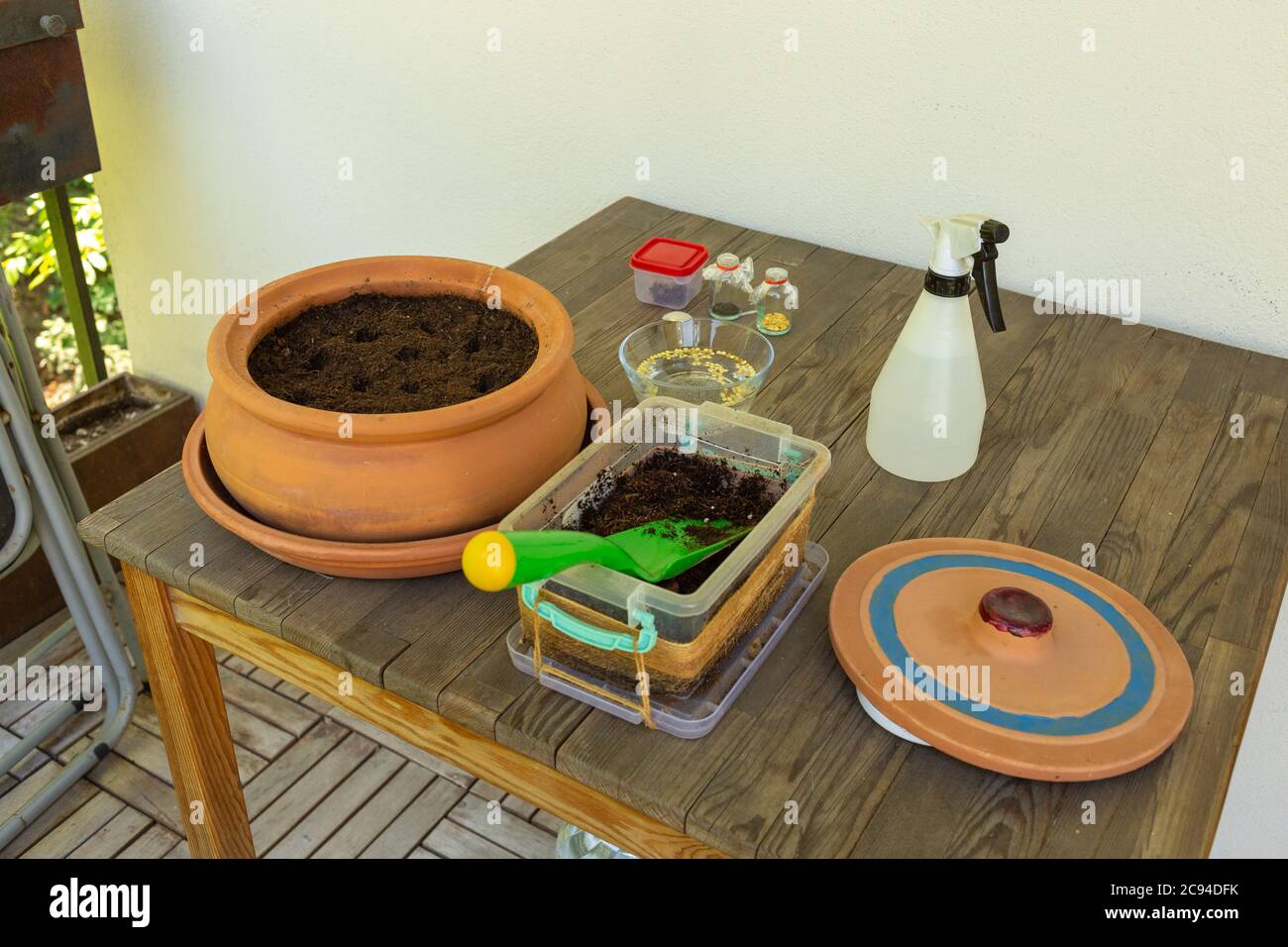 Seed germination equipment including green pepper seeds, earthen pot with seed holes in soil