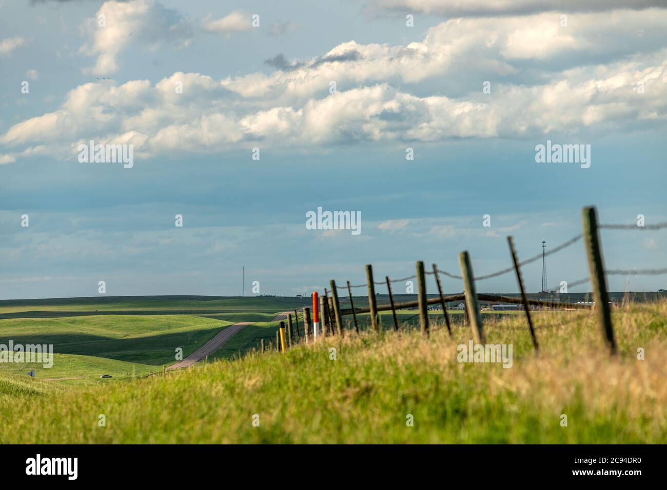 A rolling farmland scene shows the green expanse and farming fencing used to keep cattle from entering the roadway. Stock Photo