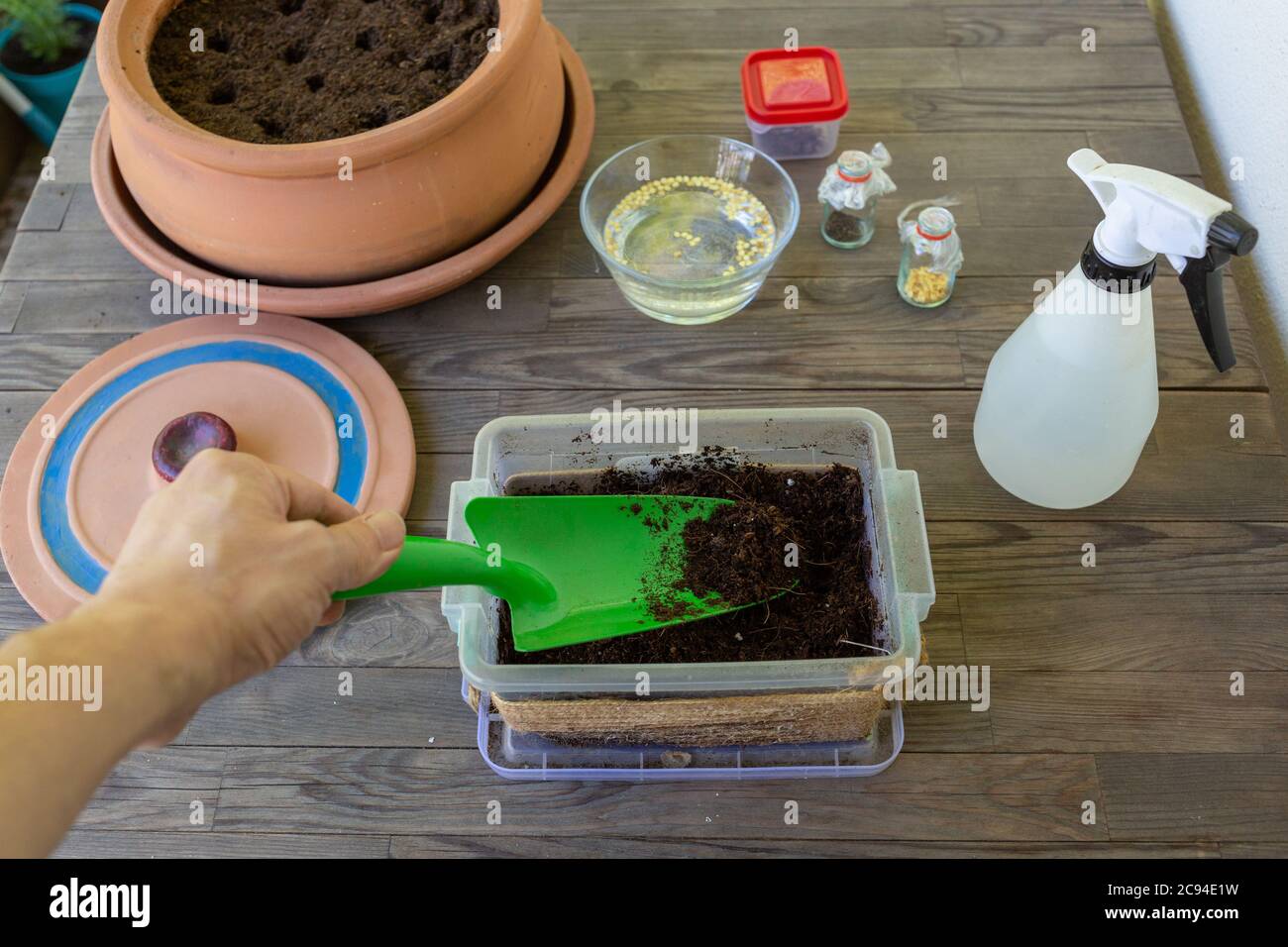 Caucasian man hand mixing soil in a small pot with a green spade. Seed