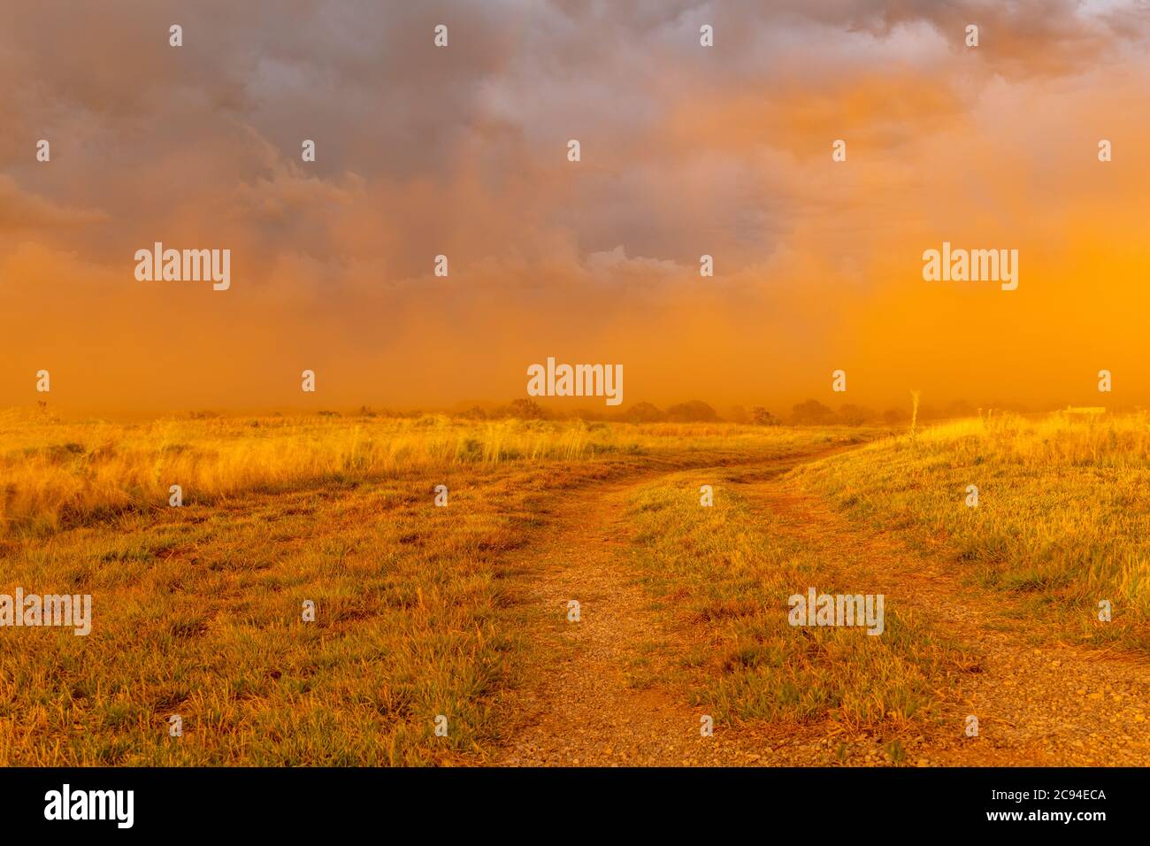 A large dust storm blows across a field at sunset, casting a vibrant deep orange hue across the horizon. Stock Photo