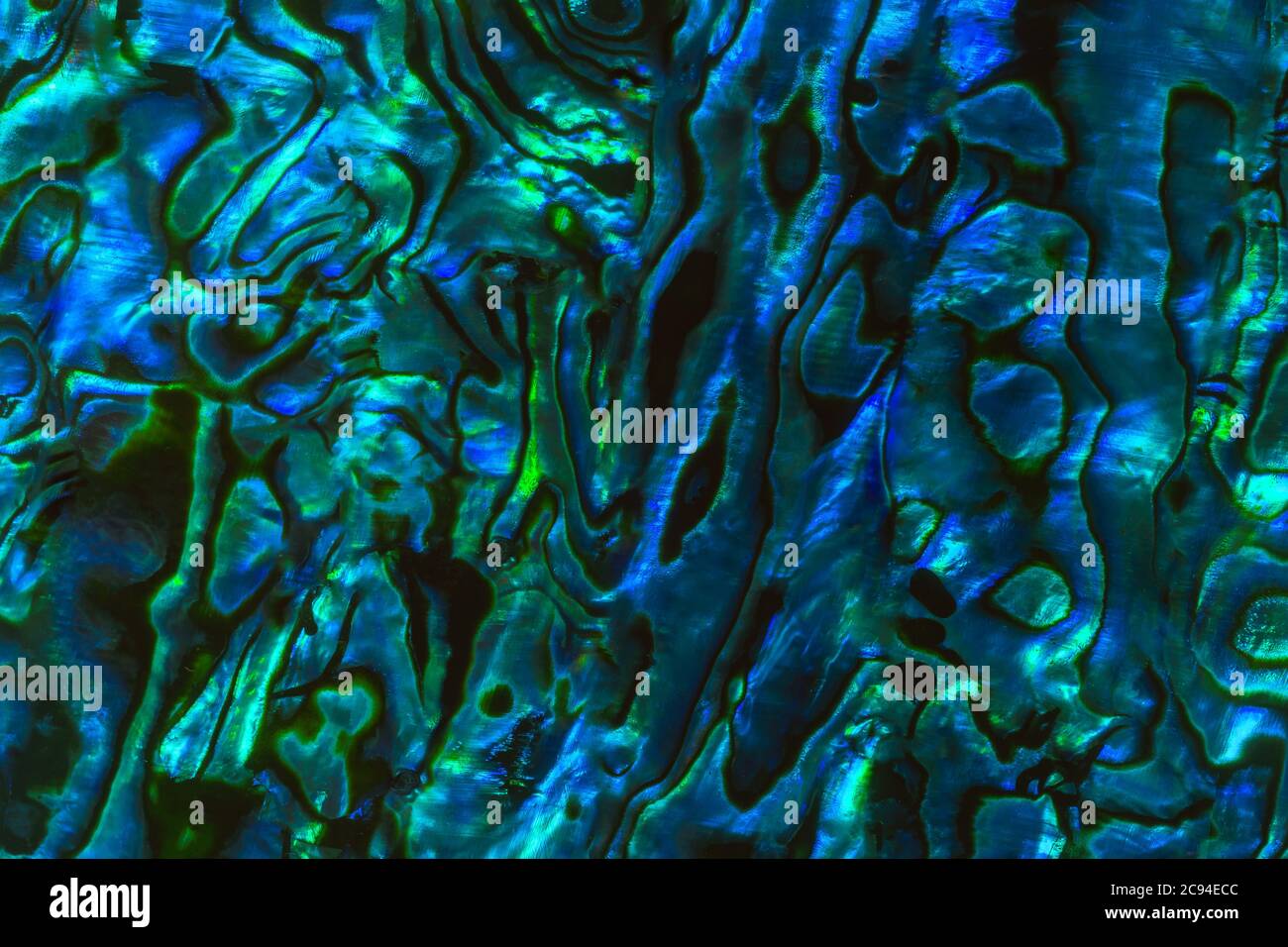 Brightly coloured New Zealand Paua shell patterns. Paua is a large mollusc found in coastal waters and is known as abalone in other parts of the world Stock Photo