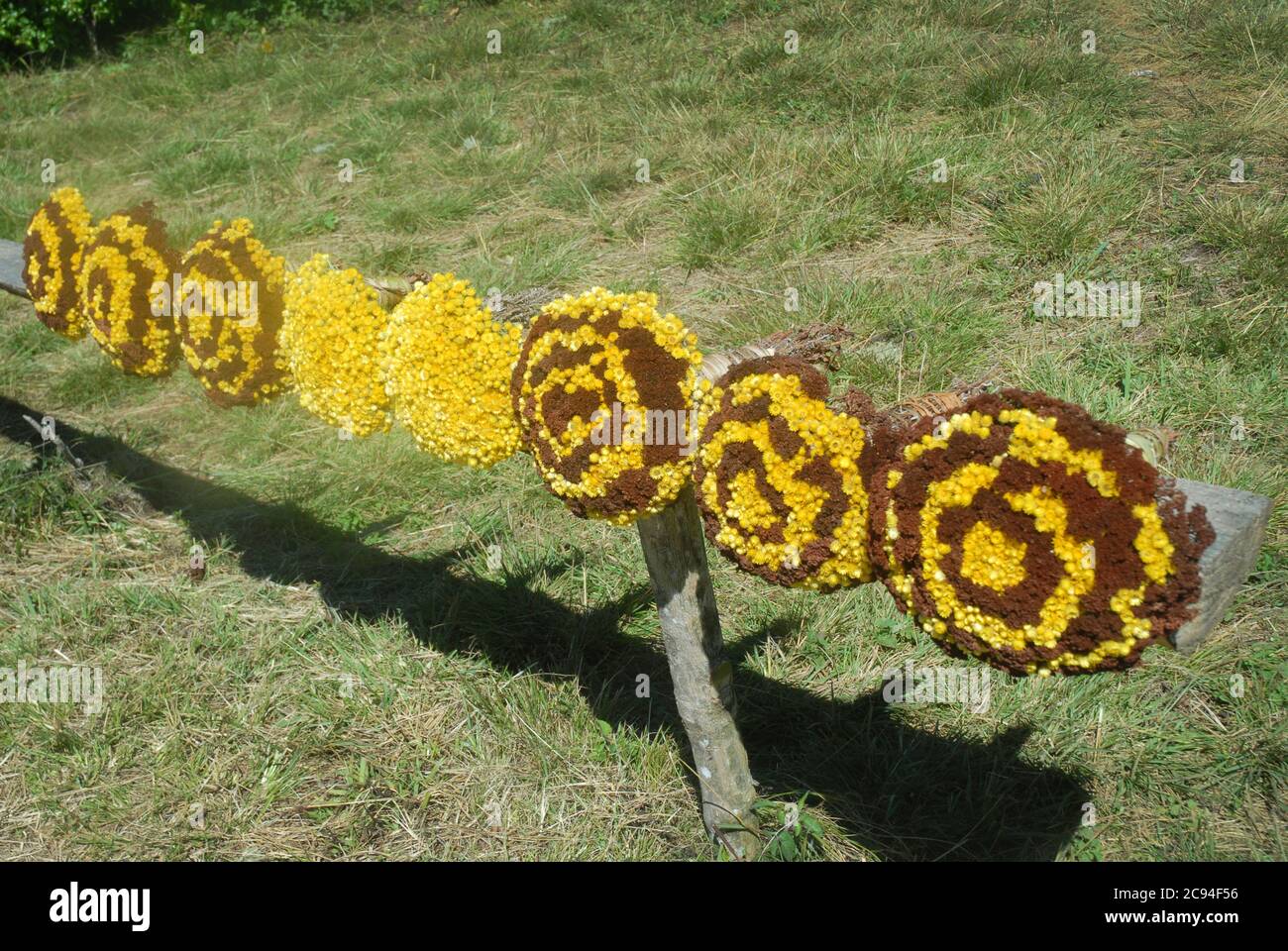 Dried flowers for sale, Chingwes Hole, Zomba Plateau, Malawi, Africa