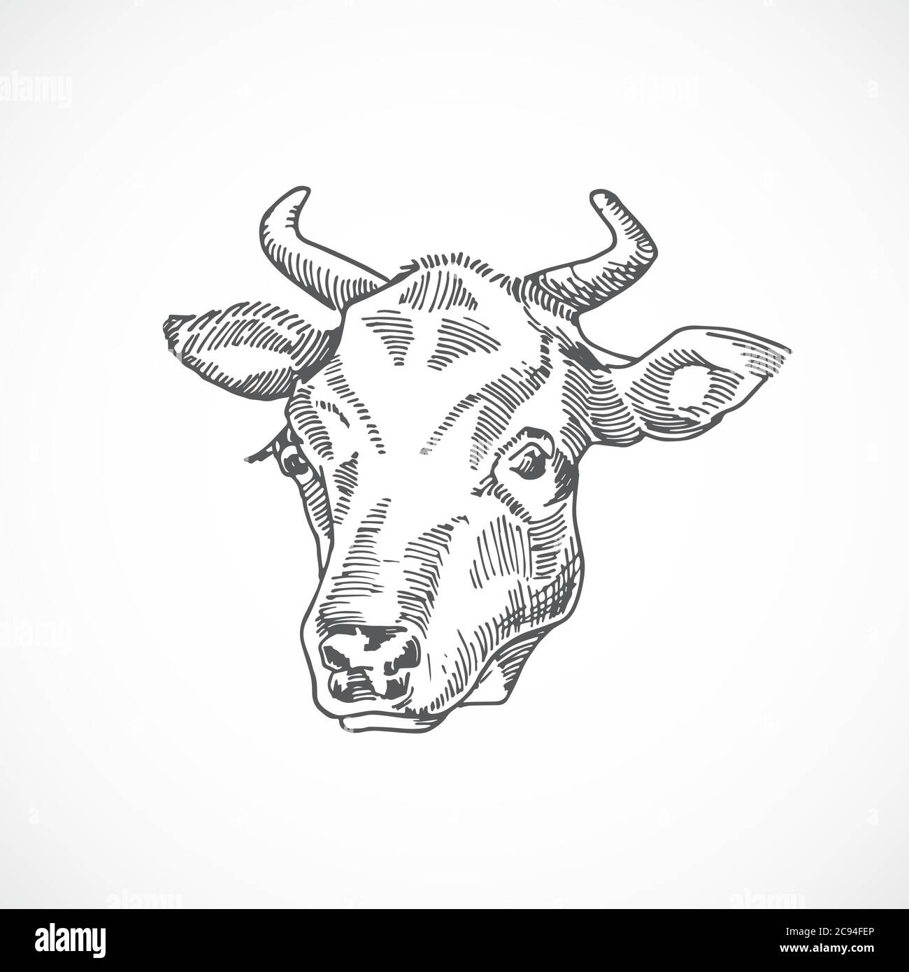 Cow Face Hand Drawn Vector Illustration Abstract Domestic Animal Sketch Engraving Style Drawing Isolated Stock Vector Image Art Alamy