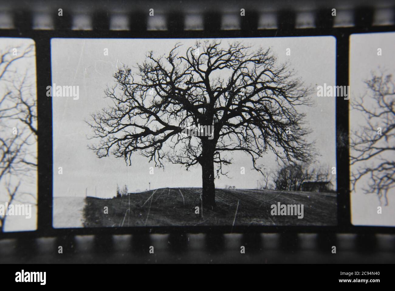Fine 1970s vintage black and white photography of the stunning ...